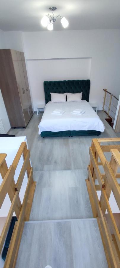Duplex Belle View Sinaia-Free Parking Apartment Екстериор снимка