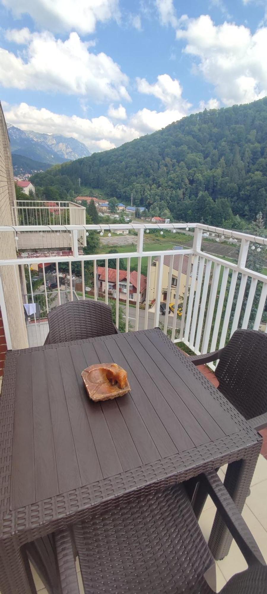 Duplex Belle View Sinaia-Free Parking Apartment Екстериор снимка