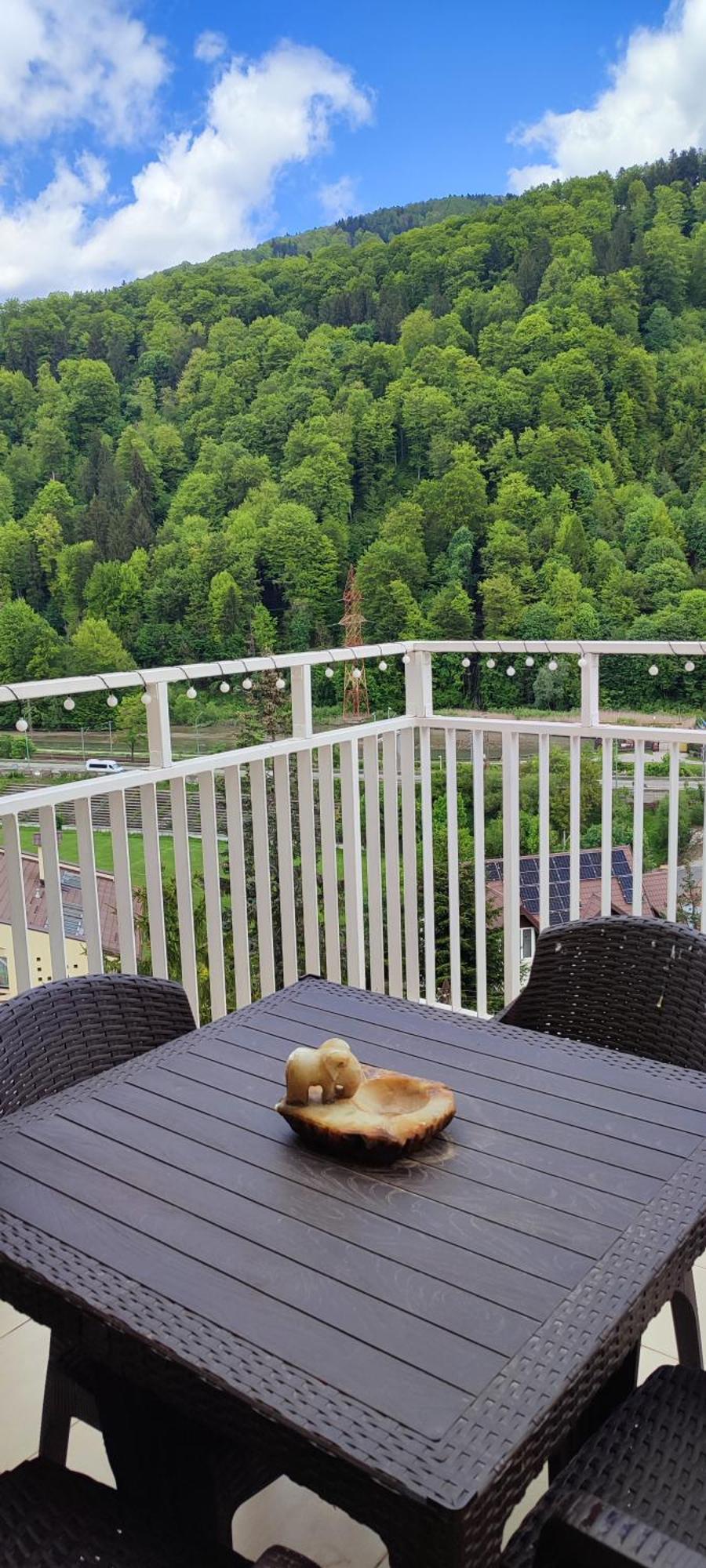 Duplex Belle View Sinaia-Free Parking Apartment Екстериор снимка