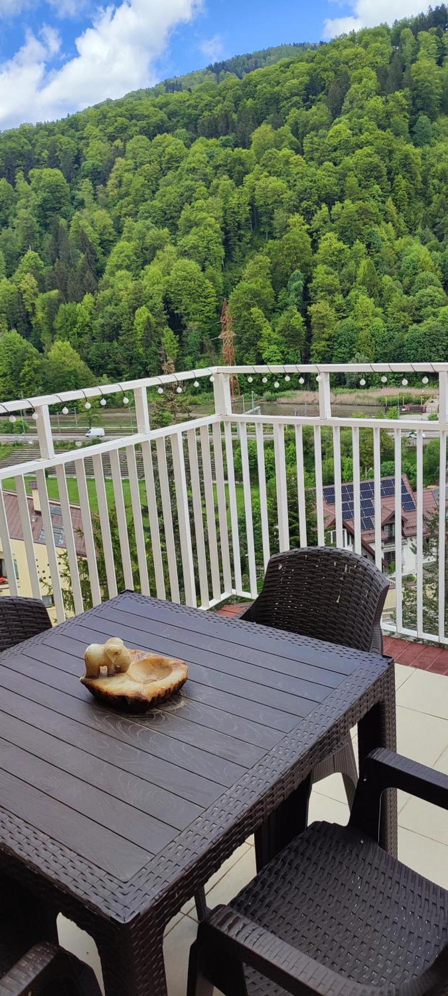 Duplex Belle View Sinaia-Free Parking Apartment Екстериор снимка